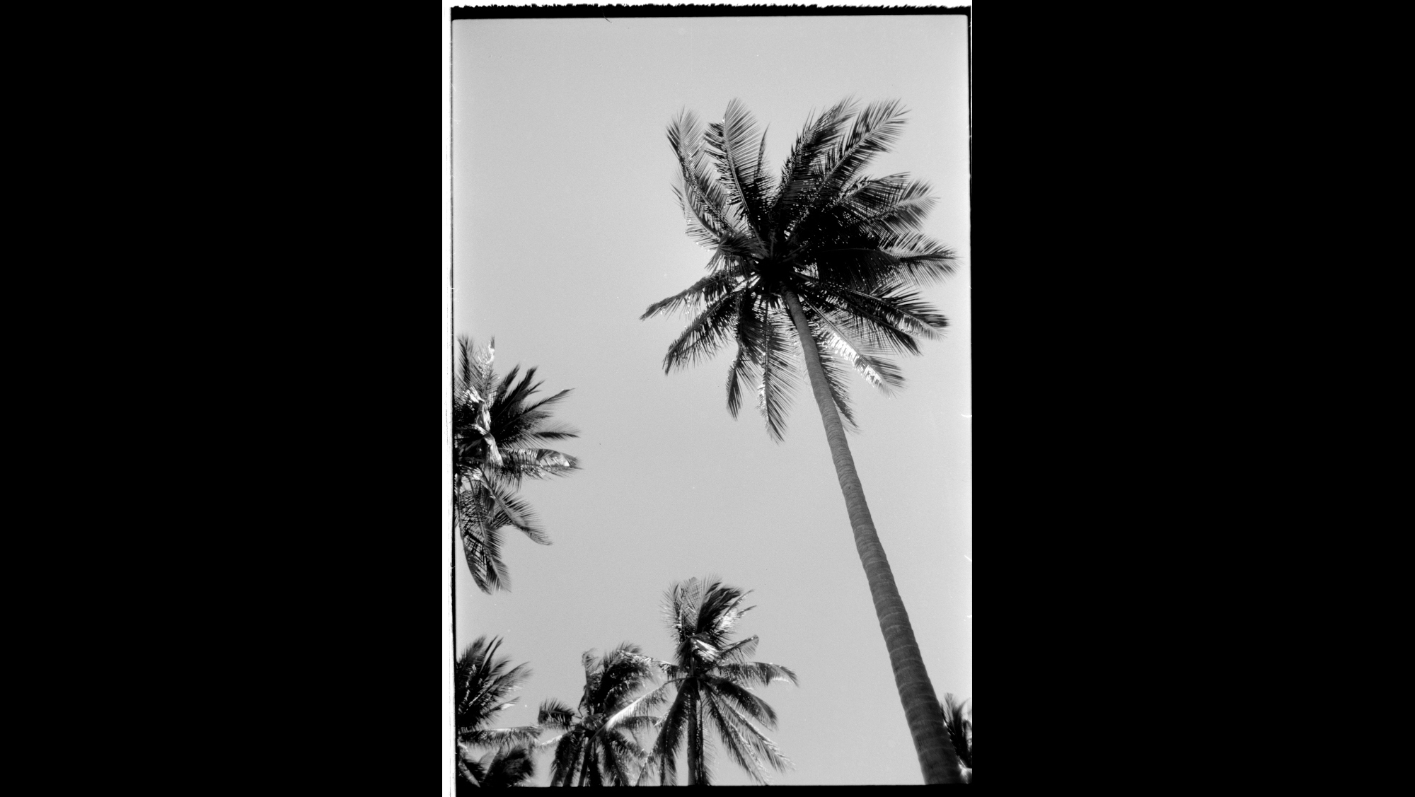 Photo Reference No: FPL01709