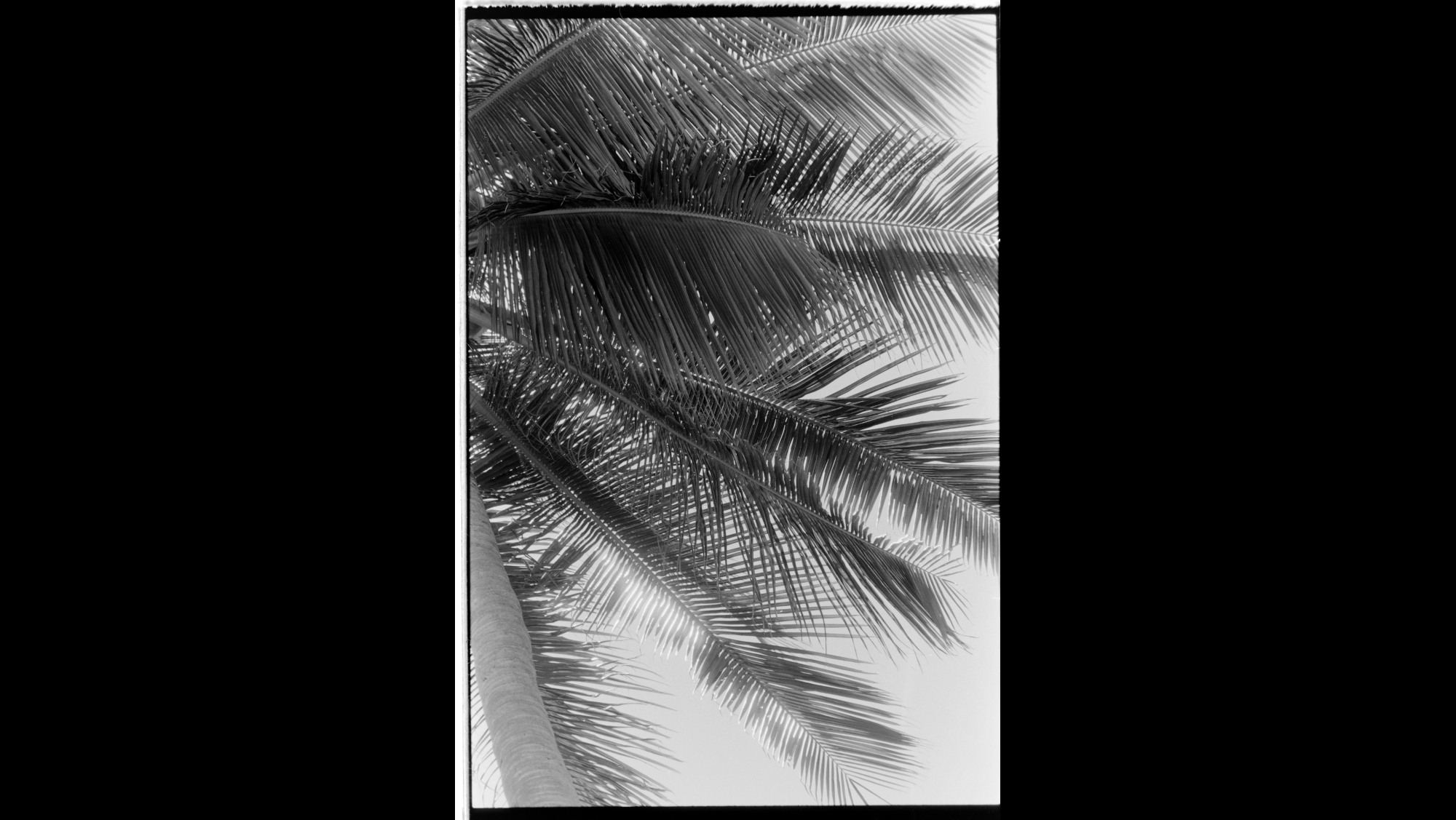 Photo Reference No: FPL01710