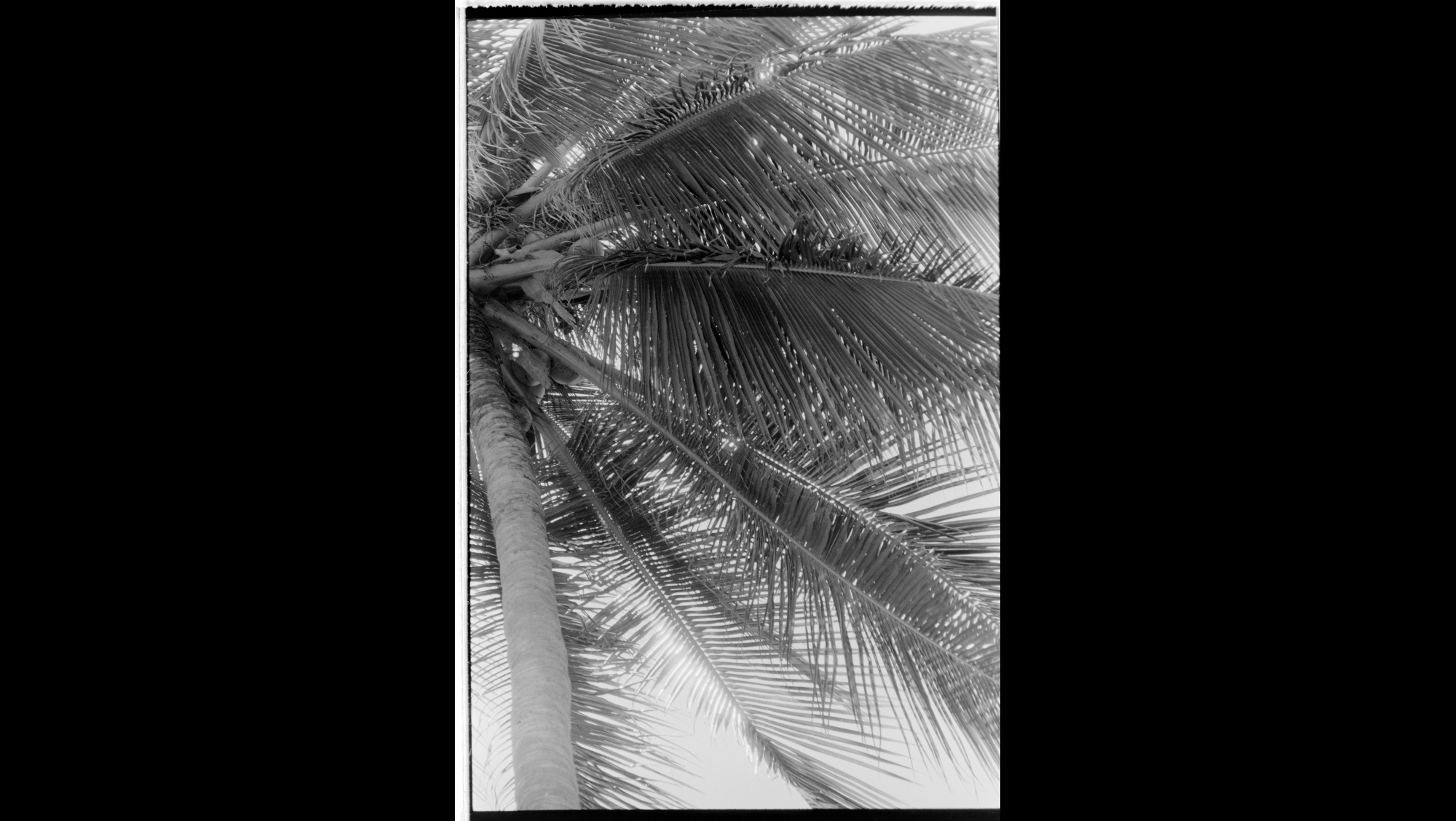Photo Reference No: FPL01711