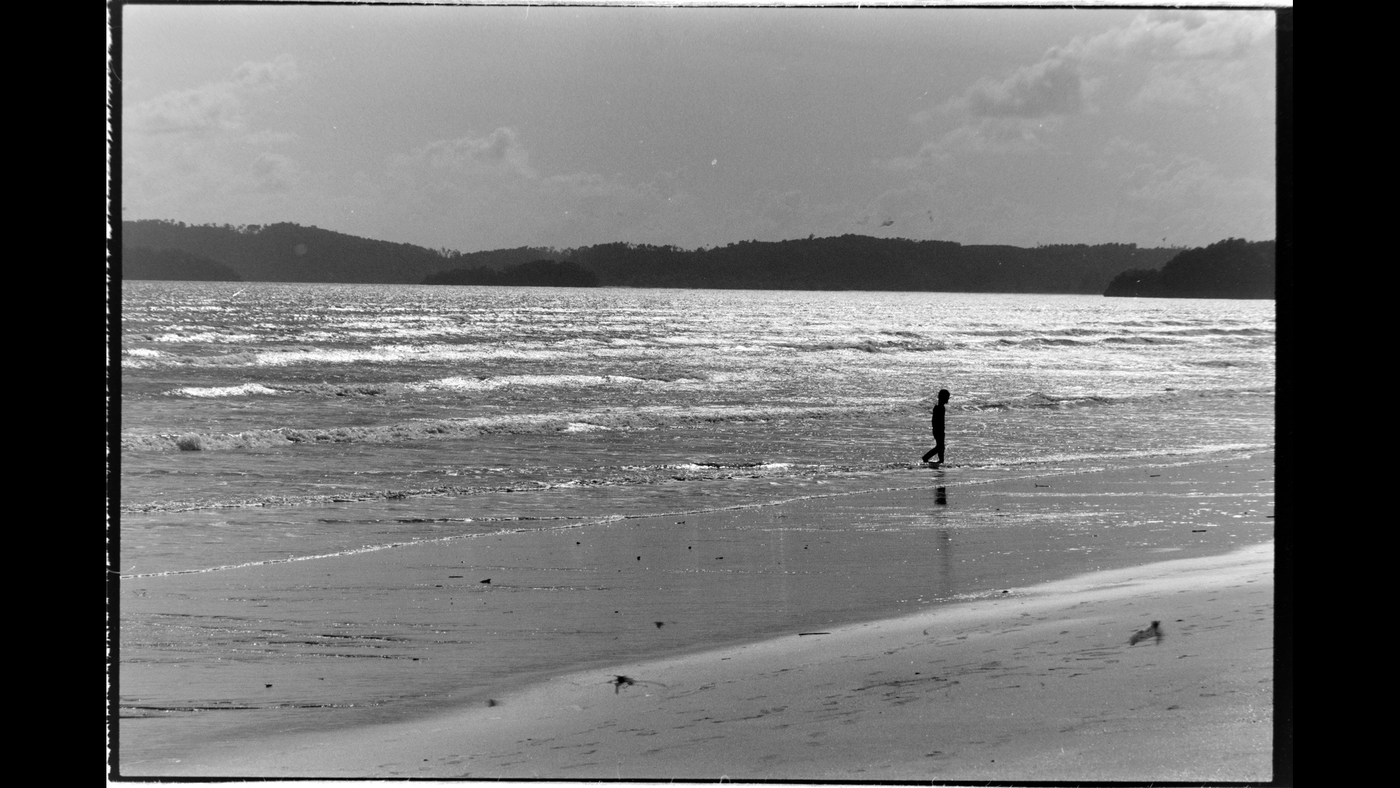 Photo Reference No: FPL01909