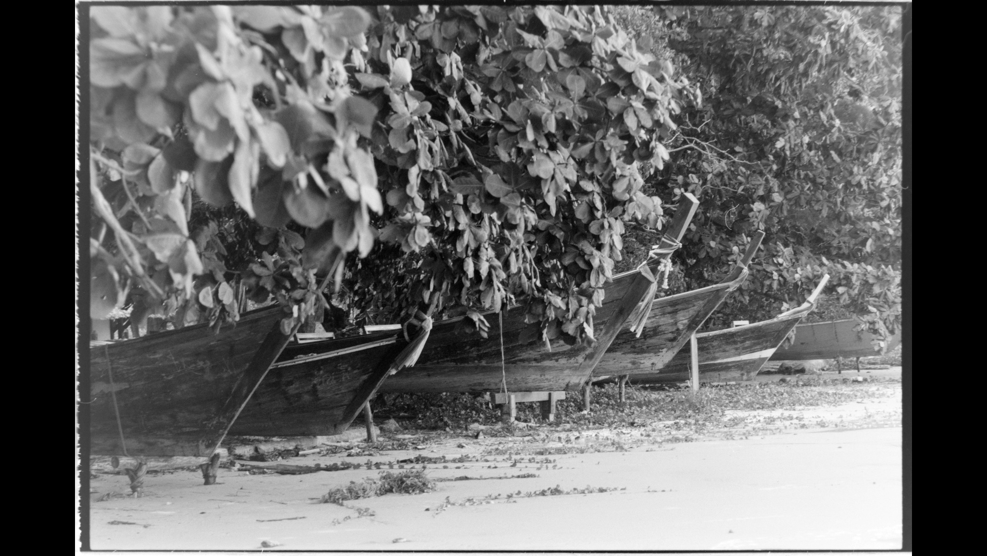 Photo Reference No: FPL01980