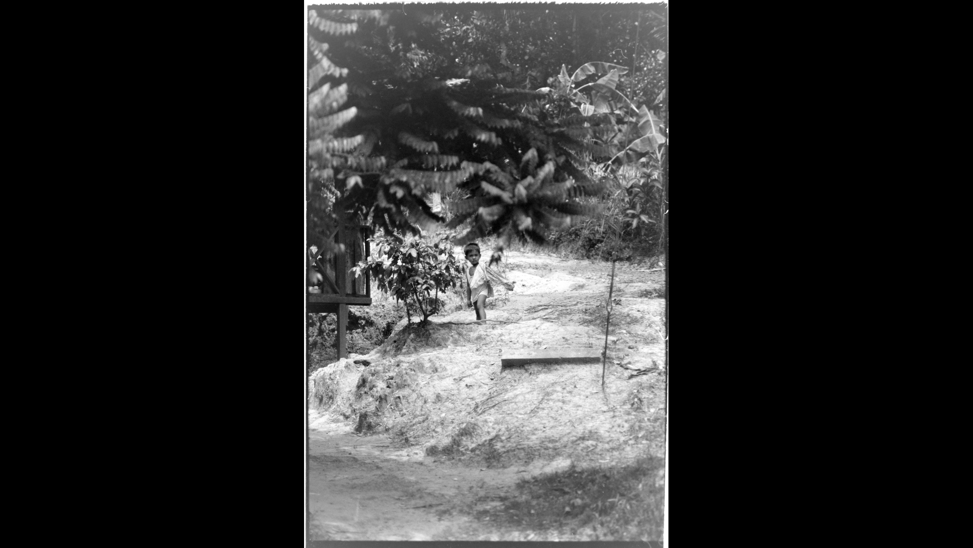 Photo Reference No: FPL01982