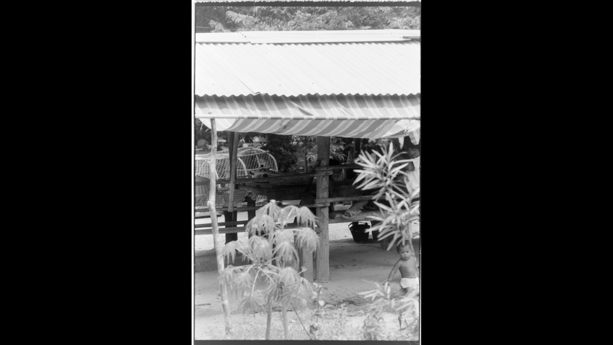 Photo Reference No: FPL01984
