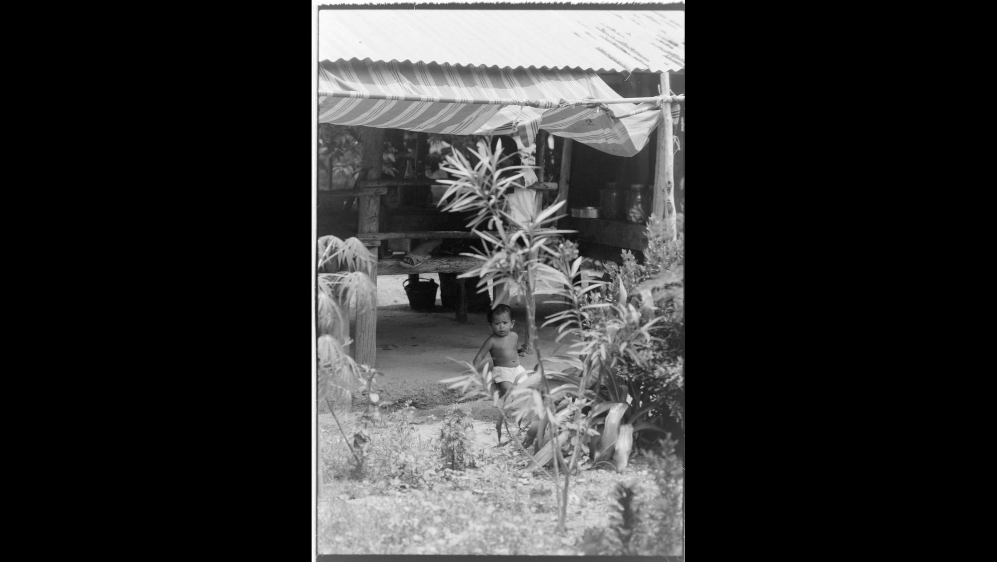 Photo Reference No: FPL01985
