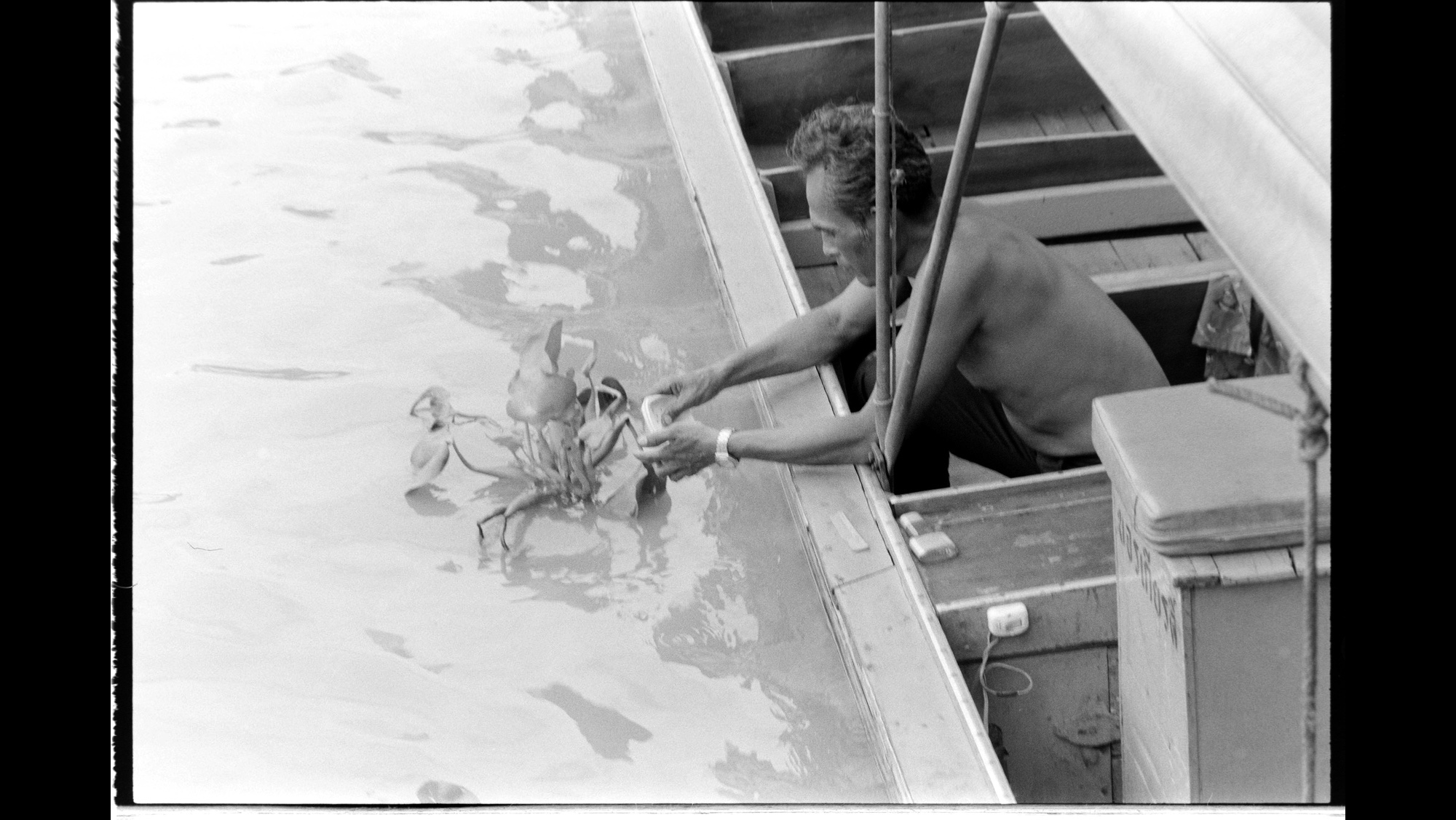 Photo Reference No: FPL02312