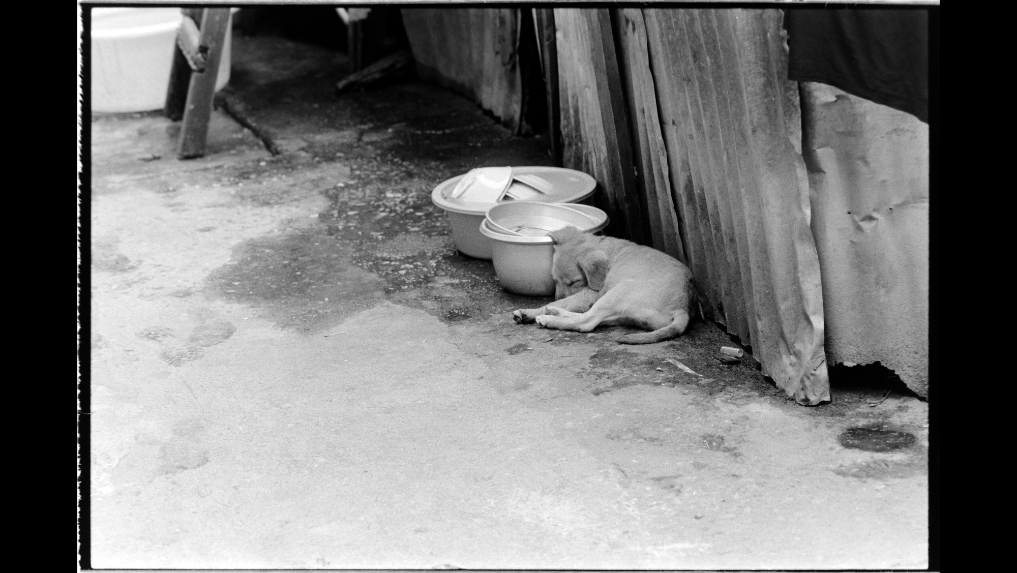 Photo Reference No: FPL02315