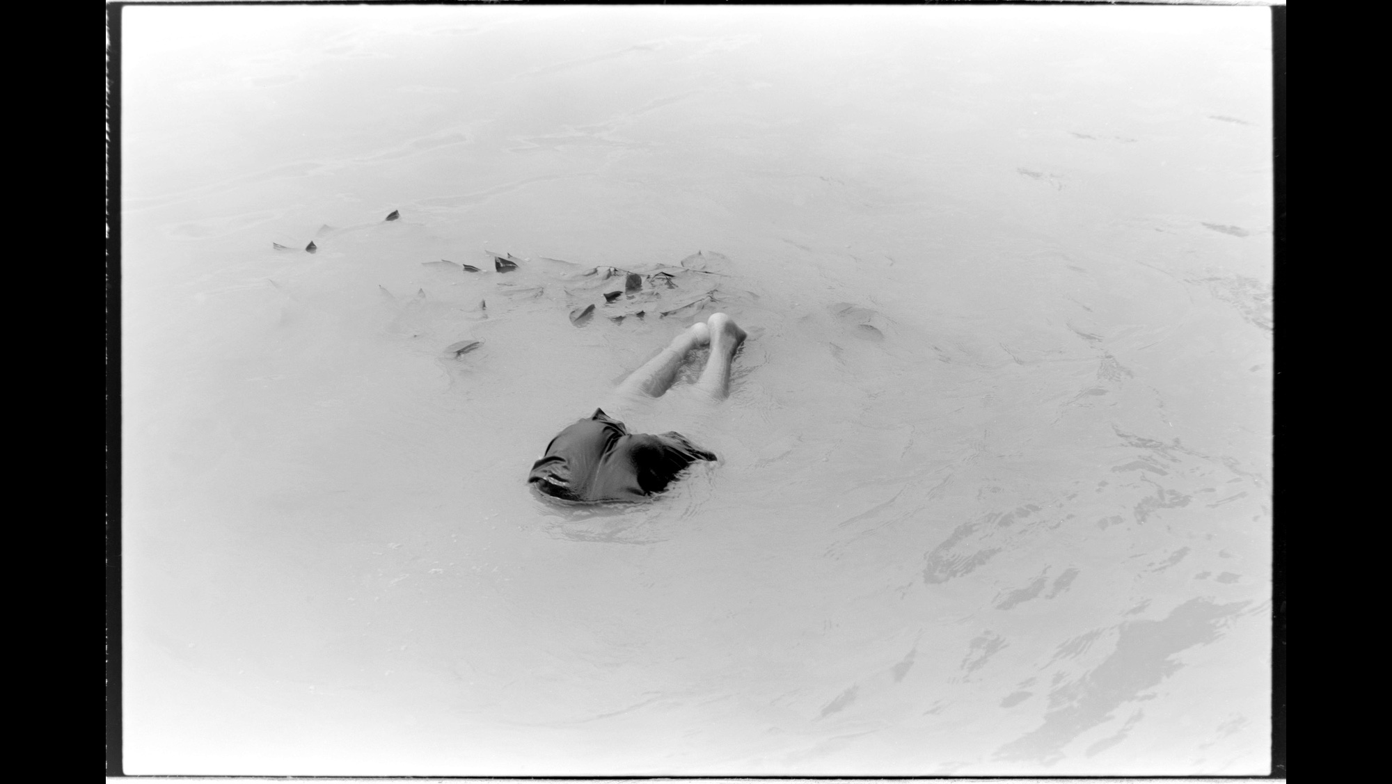 Photo Reference No: FPL02475