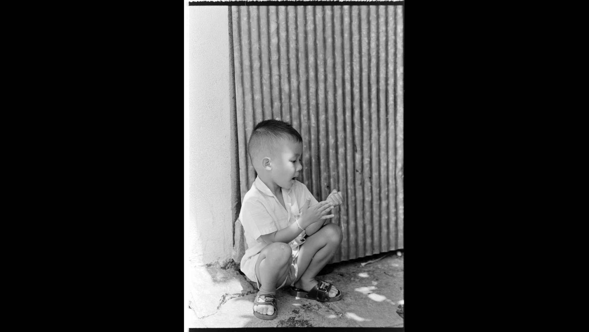 Photo Reference No: FPL02688
