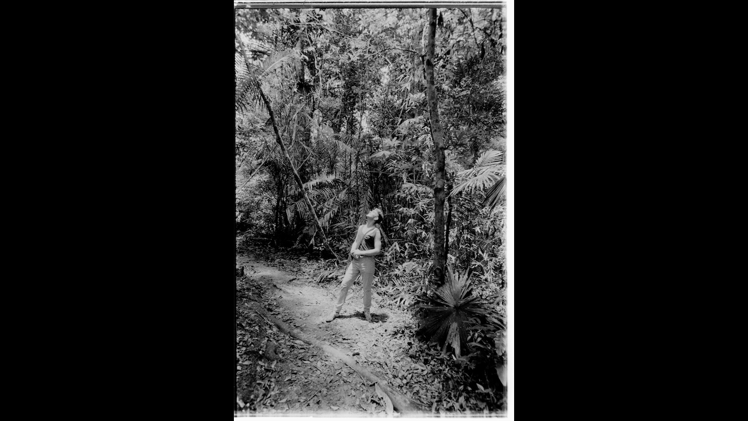 Photo Reference No: FPL01341