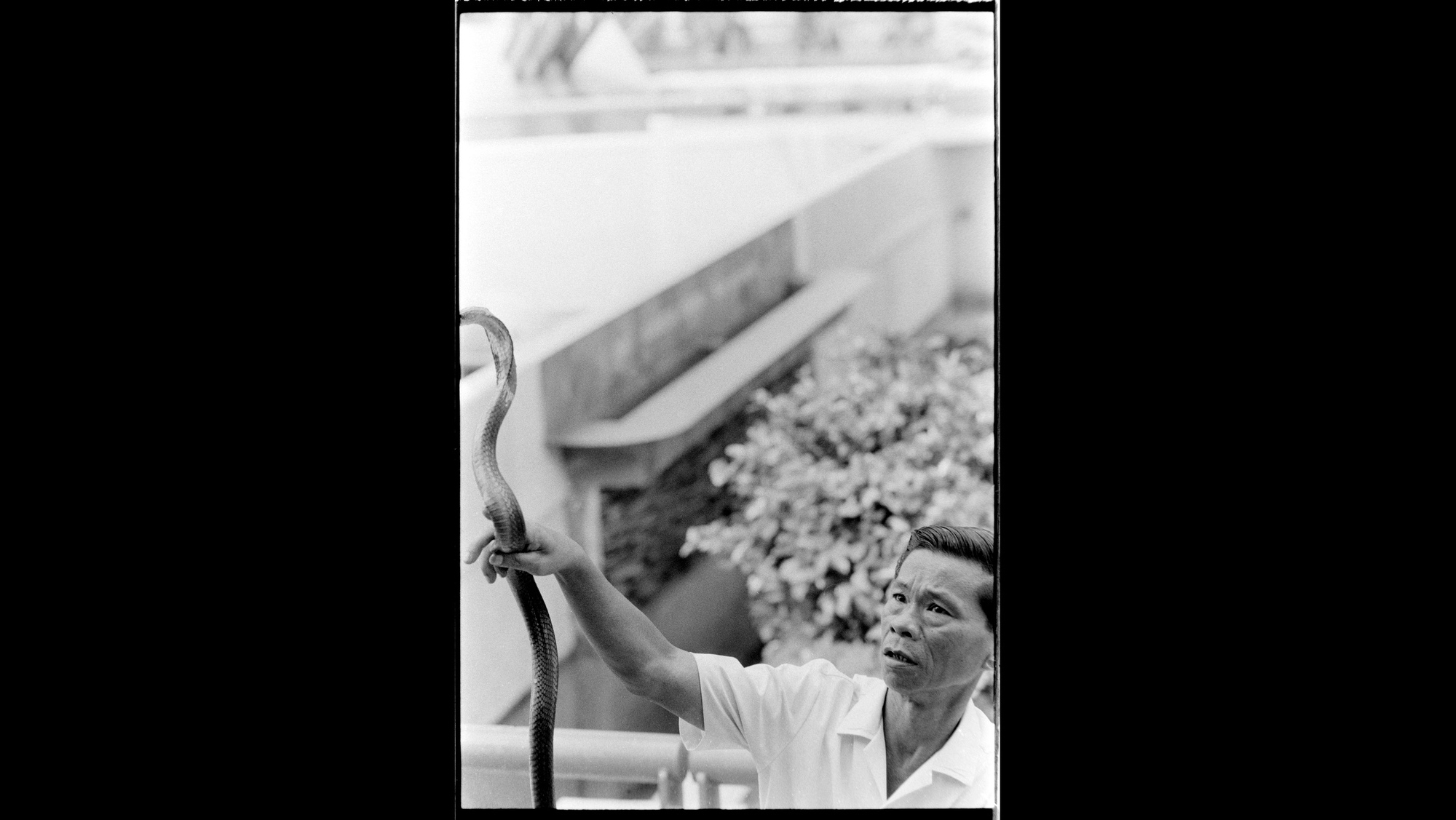 Photo Reference No: FPL02740