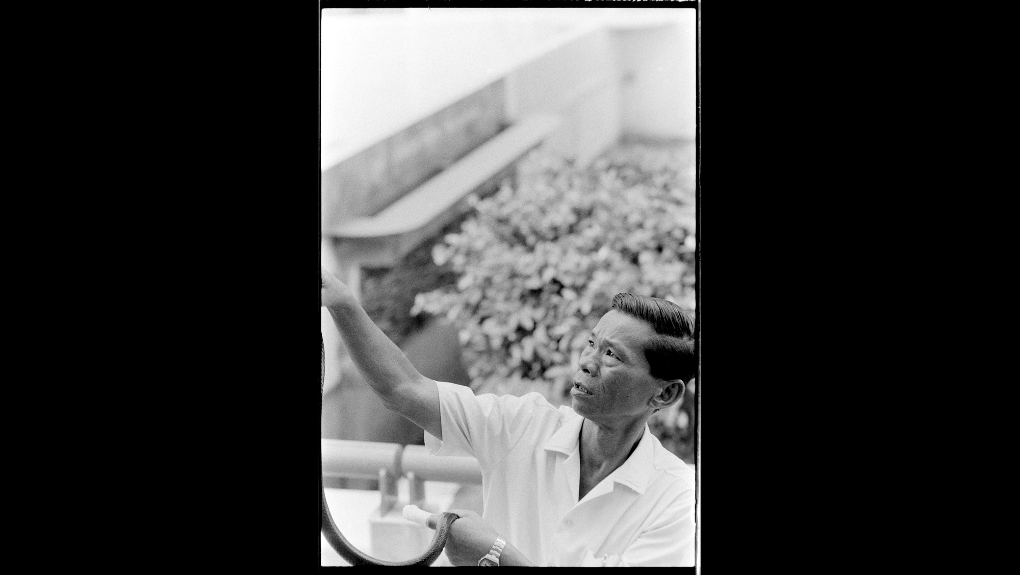 Photo Reference No: FPL02741