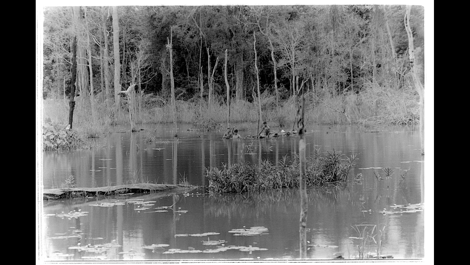 Photo Reference No: FPL01355