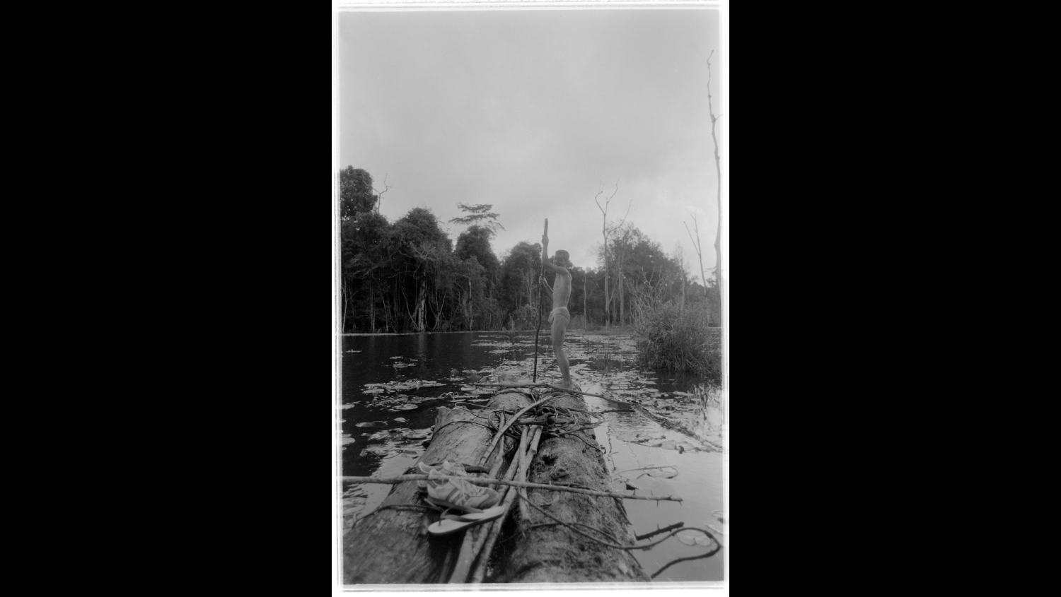 Photo Reference No: FPL01398
