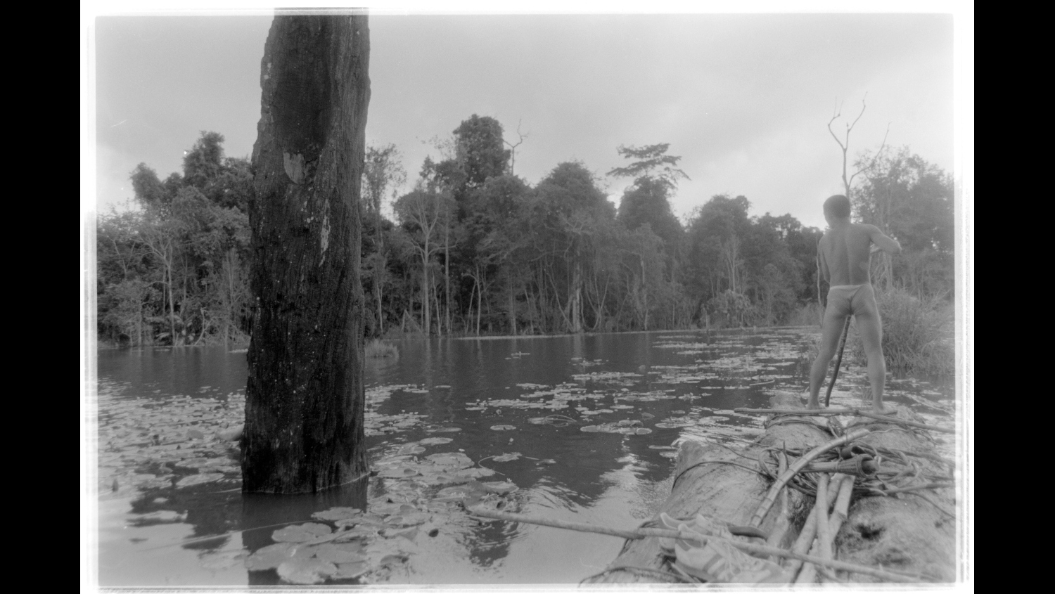 Photo Reference No: FPL01403