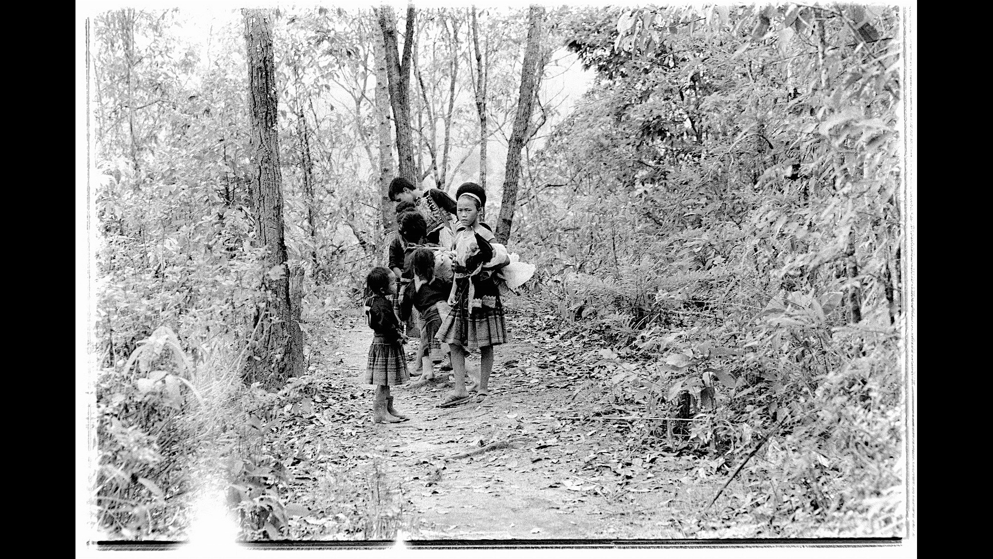 Photo Reference No: FPL01456