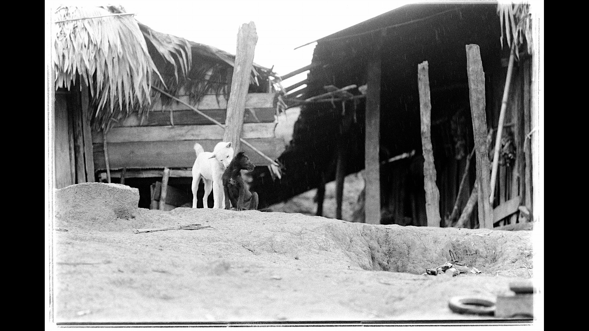 Photo Reference No: FPL01468