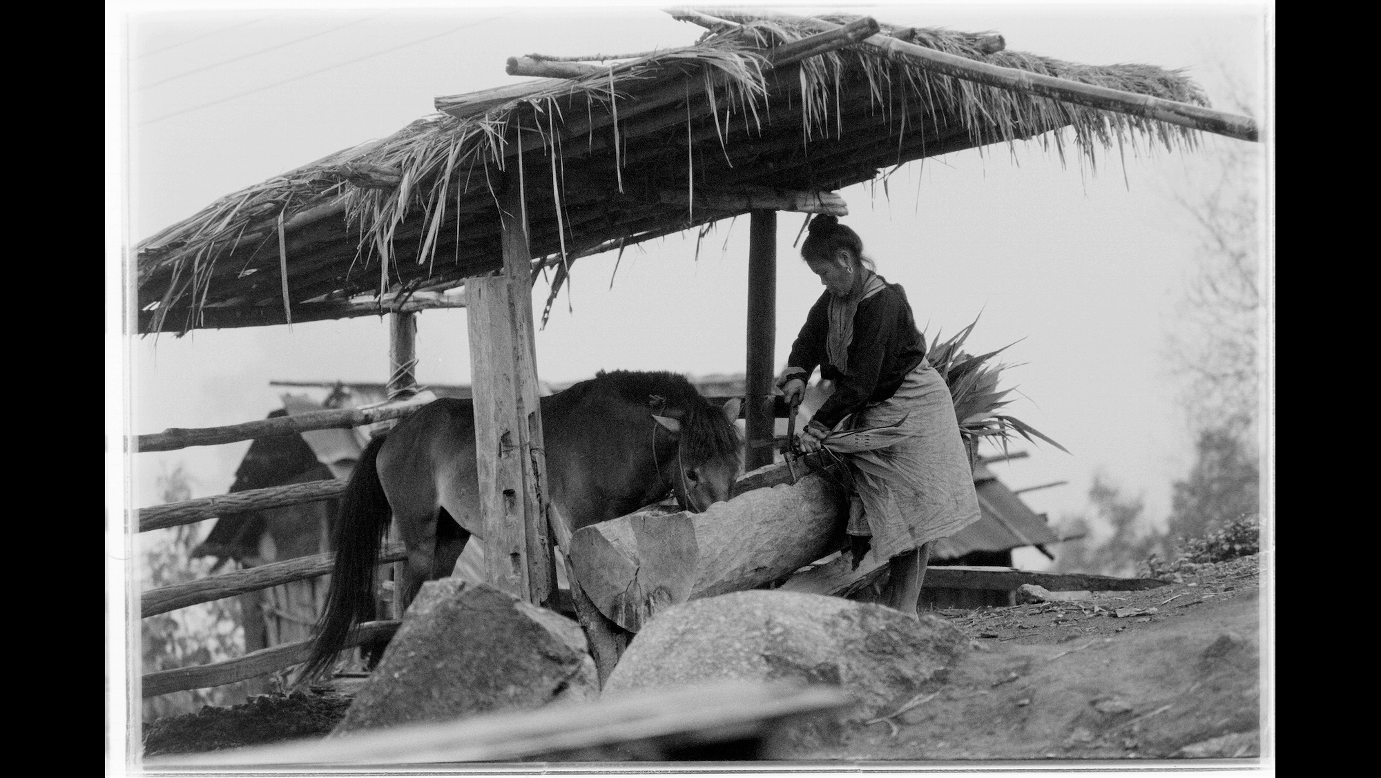 Photo Reference No: FPL01476