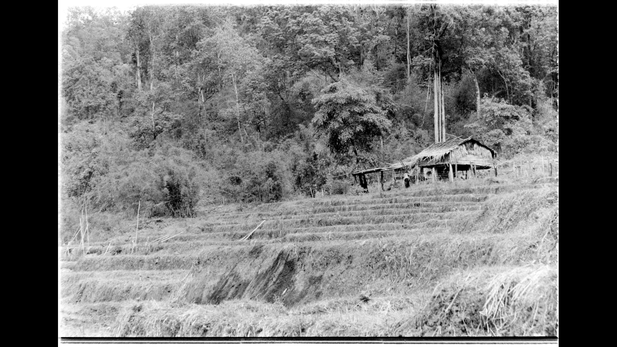 Photo Reference No: FPL01485