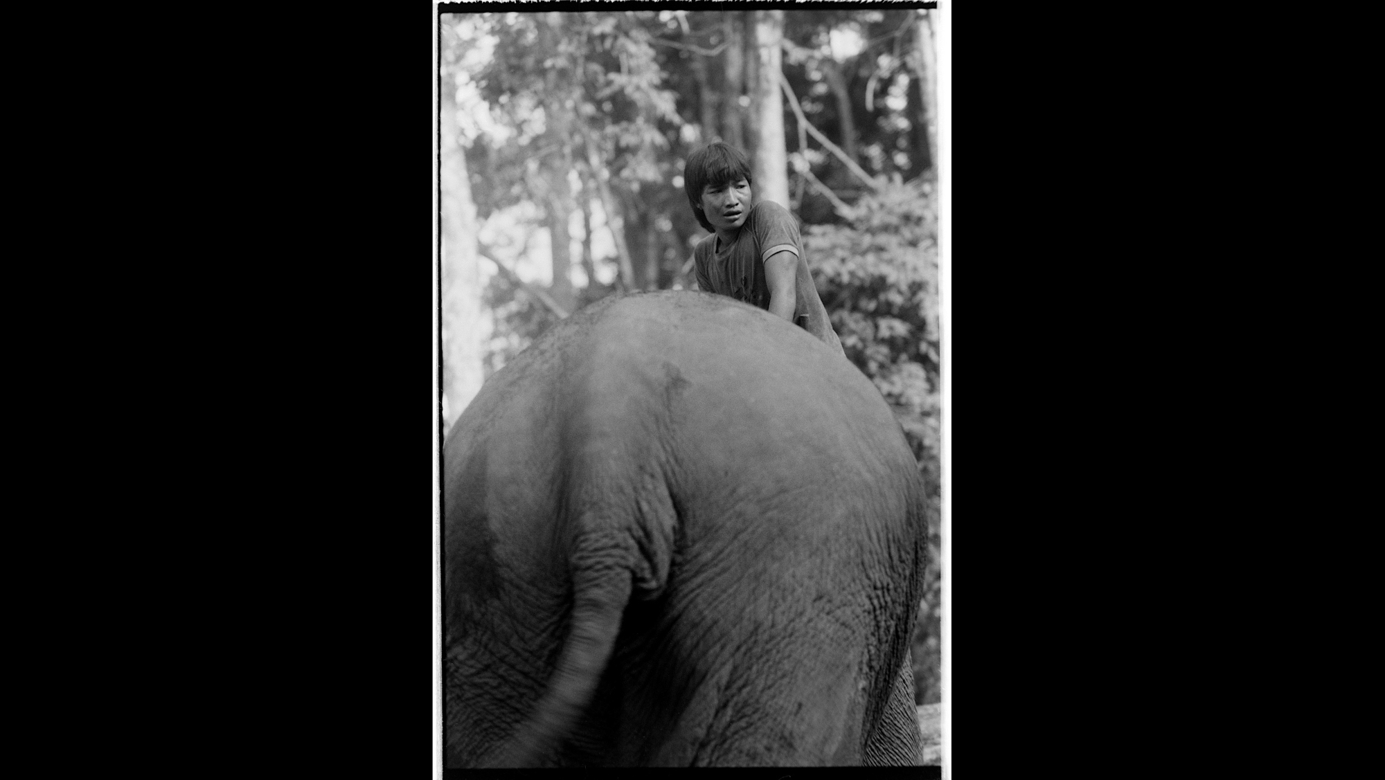 Photo Reference No: FPL01506