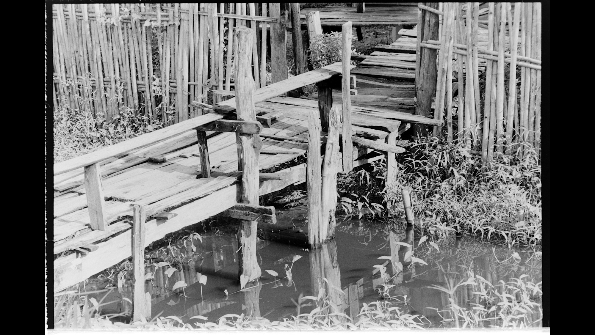 Photo Reference No: FPL01581
